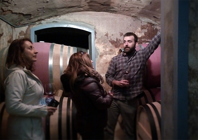 Cellar tasting